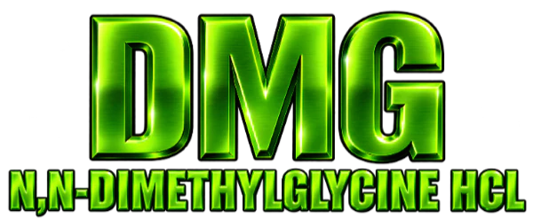 DMG logo